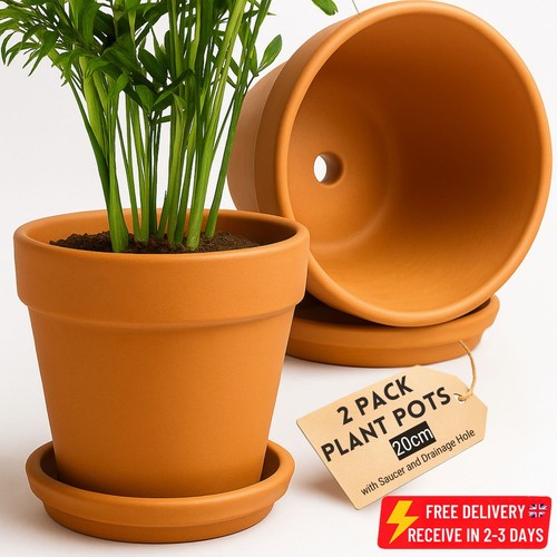 Terracotta plant pots - plant, w/