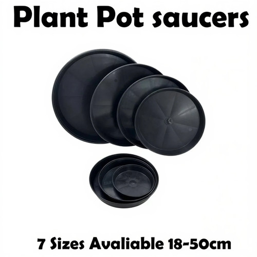 Plant pot saucers - plant,