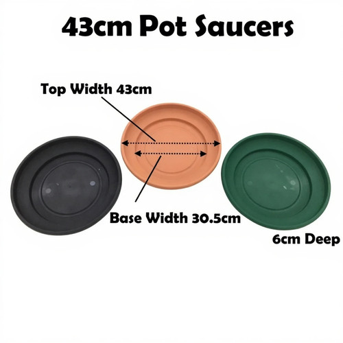 Plant pot saucer - plant, round
