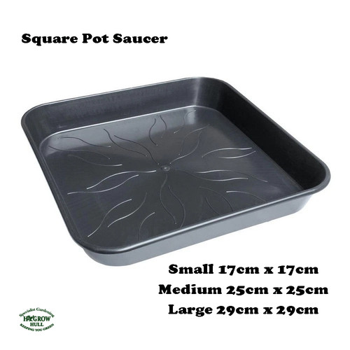 Square plastic plant pot - ,