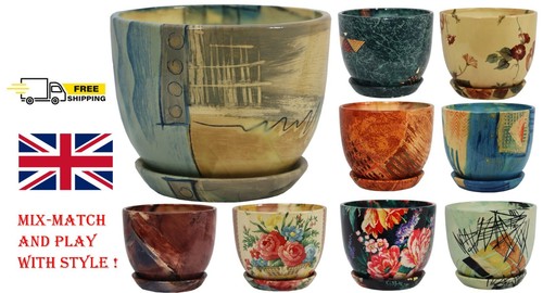 Ceramic plant pots with - plant,