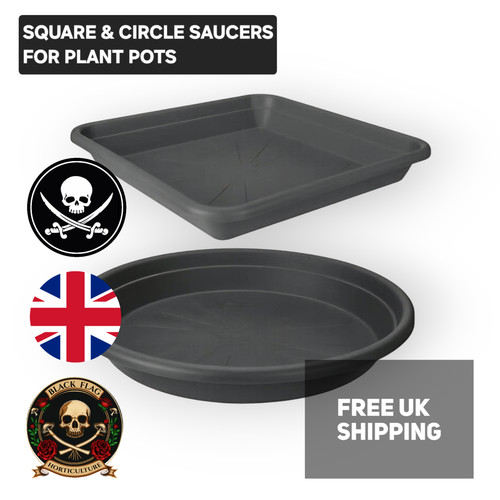 Saucer drip tray for plant - drip,