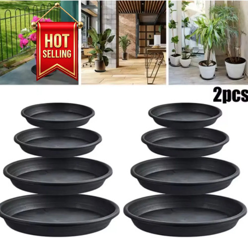 Plant pot saucers - plant,