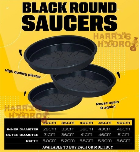 Plant pot saucers all - pot,