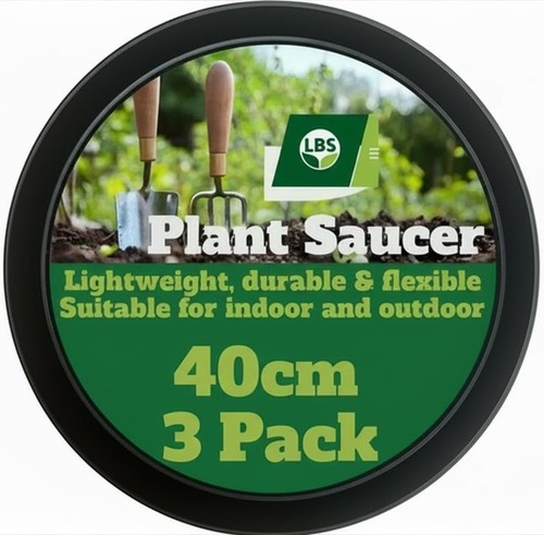 Pack 40cm plant - of, 3