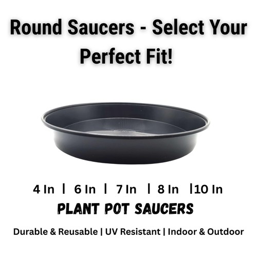 Plant pot saucers - pot,