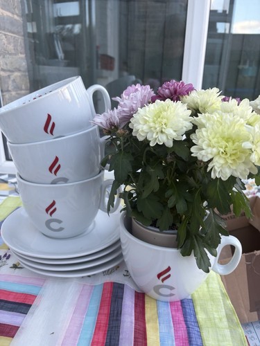 Large cup and saucer - and,