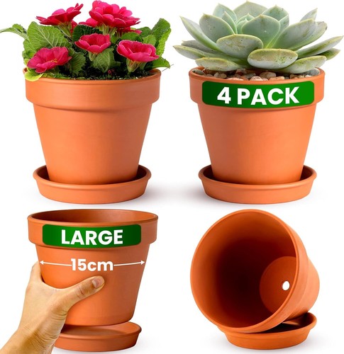 Terracotta plant pots - terracotta, with