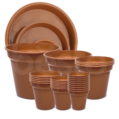 Plant flower plastic pot - plastic,