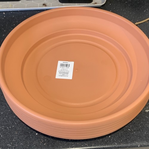 Plant pot saucers - plant,