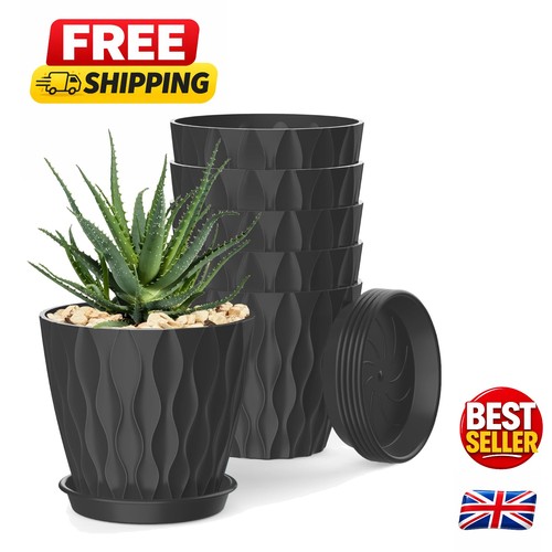 Black round plant pots with - 5,