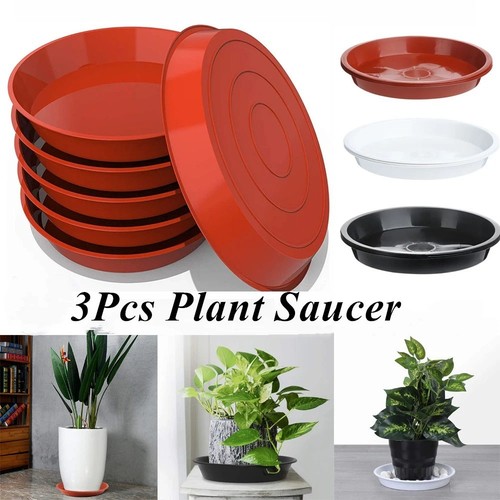 Plant pot saucer - pot, drip
