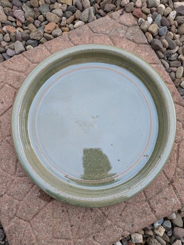 Green ceramic plant saucer - plant,