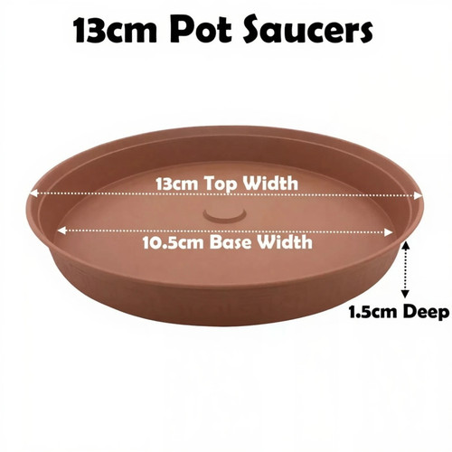 13cm plant pot - plant, drip