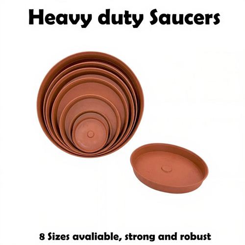 Plant pot saucer drip watering - plant,
